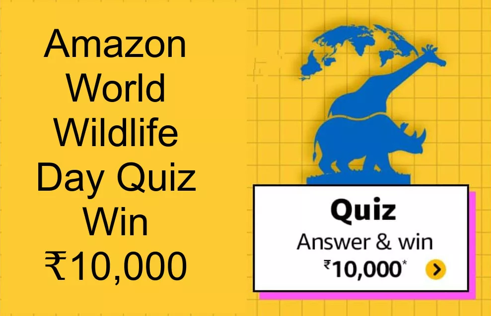 Flipkart quiz outlet time answers today